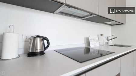 milan, Lombardy 20149 - Photo 5