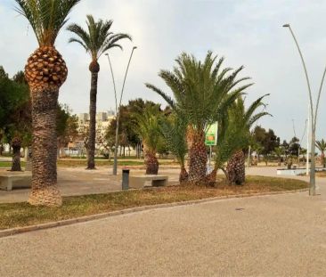 Moncofa - Photo 5