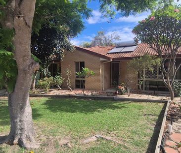 What a ripper ! - Photo 3