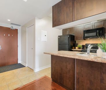 For Lease - 234 RIDEAU Street Unit# 1904A, Lower Town - Sandy Hill,... - Photo 4