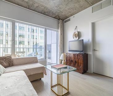 1150 Rue St Denis - Photo 5