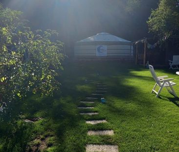 Huis met yurt, bos, kat en tuin zoekt medebewoner - Photo 6