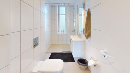 Lys og indbydende lejlighed i hjertet af Aalborg - Photo 3