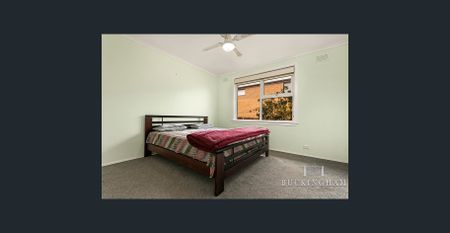 Surprise, Surprise… - Photo 2