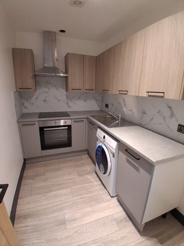 Studio Flat, Mitcham Lane, SW16 - Photo 3