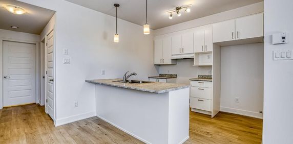 Charmant appartement d'une chambre au sous-sol | Emplacement idéal pour les navetteurs - 410, rue Des Becs-Scie, app. 2, Gatineau (Masson-Angers), QC - Photo 2