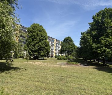 Mieszkanie | Wynajem - Photo 6