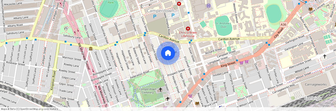 95 Hordern Street, Newtown, NSW 2042