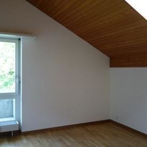 Dachwohnung sucht Single! - Photo 1