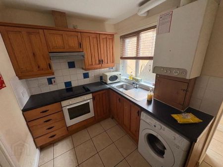 10 Maryville Avenue, Belfast, BT9 7HE - Photo 4