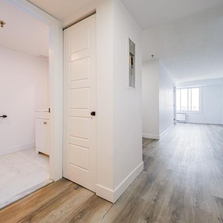 1 MOIS GRATUIT - Centre-ville Mtl Studio & 3 1/2 Gym, piscine… Appartement / logement à louer Montreal Ville-Marie - Photo 3