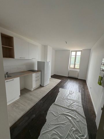 T3 Thizy-les-Bourgs - Photo 5