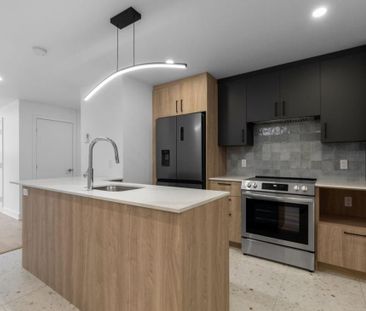 Appartement à louer - Montréal (Rosemont/La Petite-Patrie) (Shop An... - Photo 5