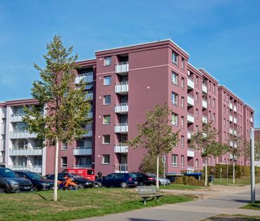 Einfach P E R F E K T - für Singles oder Paare. #2ZimmerMonheim - Photo 6