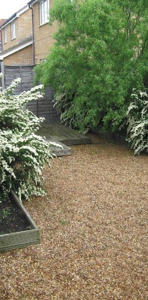 Morris Court - Photo 1