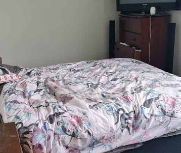 Cute, Cosy & Close to Town - Photo 5