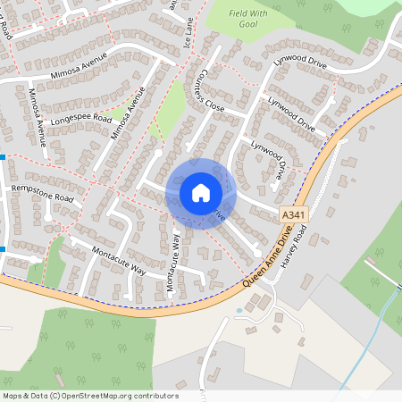 Egdon Drive, Wimborne