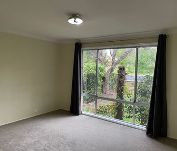 Spacious Family Living Just East of the CBD - Photo 3