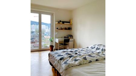 3 Zimmer-Wohnung in Zürich - Kreis 4 Hard, möbliert, auf Zeit - Photo 3