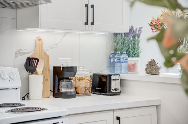 For Lease - 21 Current Drive Unit# Bsmt, Richmond Hill, Ontario - Photo 1