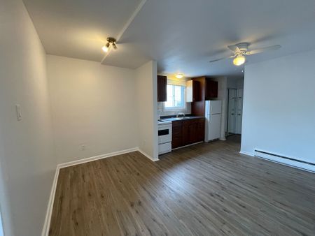 For Lease - 296 St Patrick Street Unit# 3, Lower Town - Sandy Hill, Ontario - Photo 3