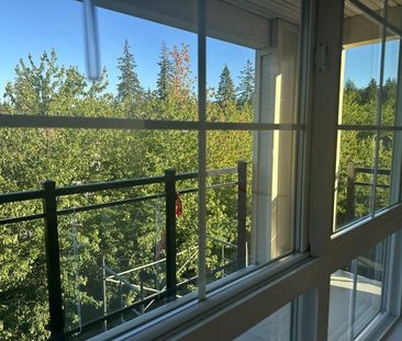Top Floor Corner Unit 2 Bedroom/2 Bath - Photo 2