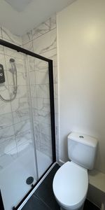 Bedsit, Ladbroke Grove / White City, W10 - Photo 4