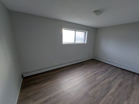 Dog Friendly Apartment! - Photo 3