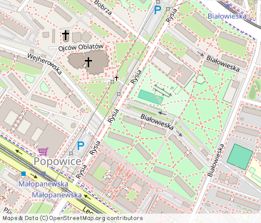 Pokój do wynajęcia 10m2 Popowice - Photo 1