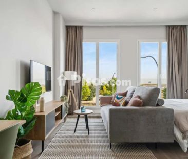 Estudio en alquiler en Calle de José Antonio Rebolledo y Palma, 23 - Foto 1