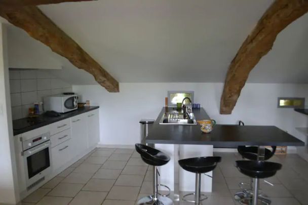 Location maison 4 pièces, 160.00m², Albi - Photo 1