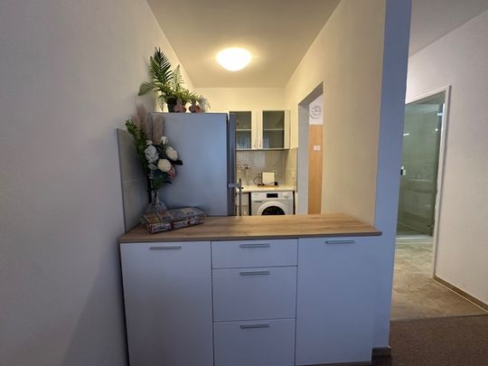 Möbliertes Apartment in Uninähe - Photo 1