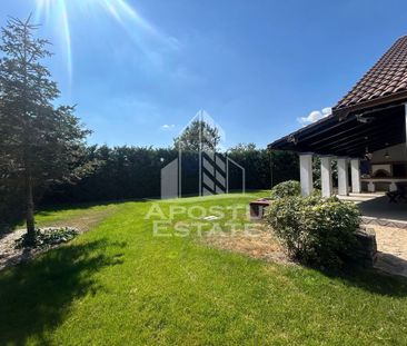 Casa cu 5 camere de inchiriat, curte proprie, Sanmihaiu Roman, Timis - Fotografie 4