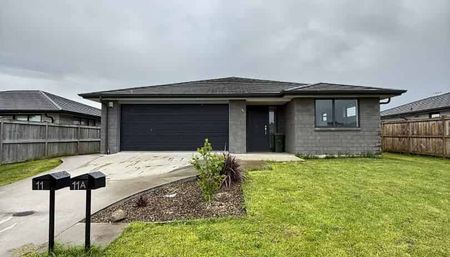 Spacious 4-Bedroom house for Rent in Tuakau - Photo 4