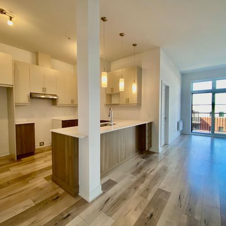 Longueuil 4 1/2 spacieux 1051 pi ca - Photo 3