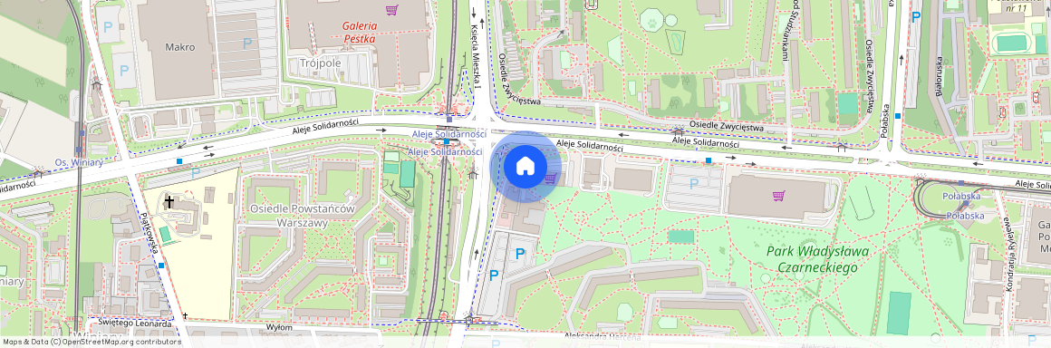 ul. Księcia Mieszka I I, Winogrady, Stare Miasto, Poznań, wielkopolskie