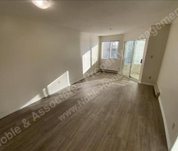 1567 East Broadway 202 Vancouver - Photo 1