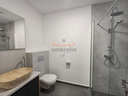 DE INCHIRIAT apartament, central, 27mp, complet utilat si mobilat - Photo 5