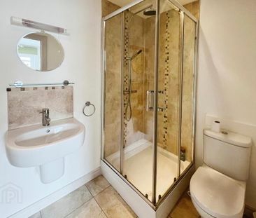 3 Meadow Lane, Lisburn, BT28 3RL - Photo 3