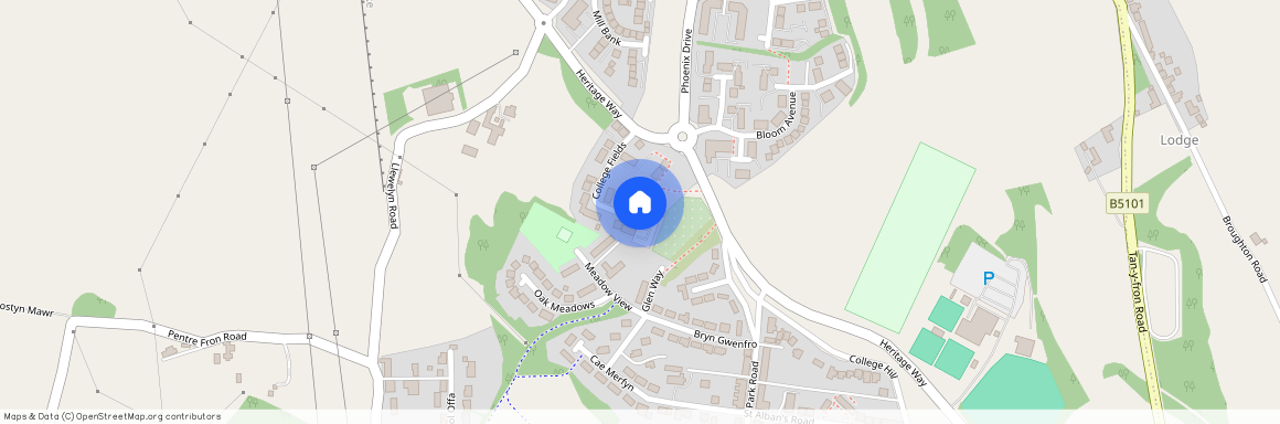 College Fields, Tanyfron, Wrexham, LL11