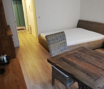 Location Appartement 1 pièce 29m² - Photo 3