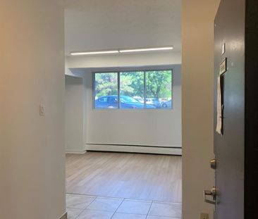 1 CH - 1 SDB - Montréal - $1,295 /mo - Photo 2