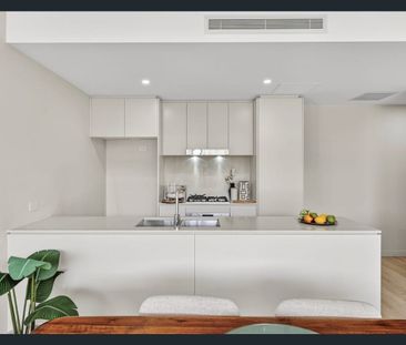 Stylish Boutique Living with Leafy Privacy in the Heart of Caringbah - Photo 6