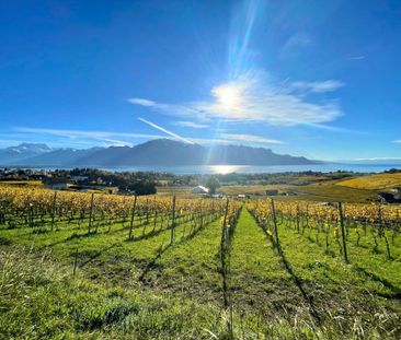 Magnifique villa individuelle de 7 pièces sur 3 niveaux - Magnifice... - Foto 2