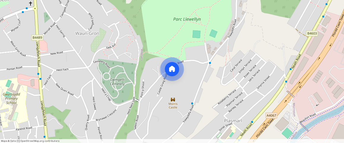 Cnap Llwyd Road, Morriston, SA6