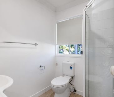 Sun-Filled, Renovated Home in a Prime Location - Photo 5