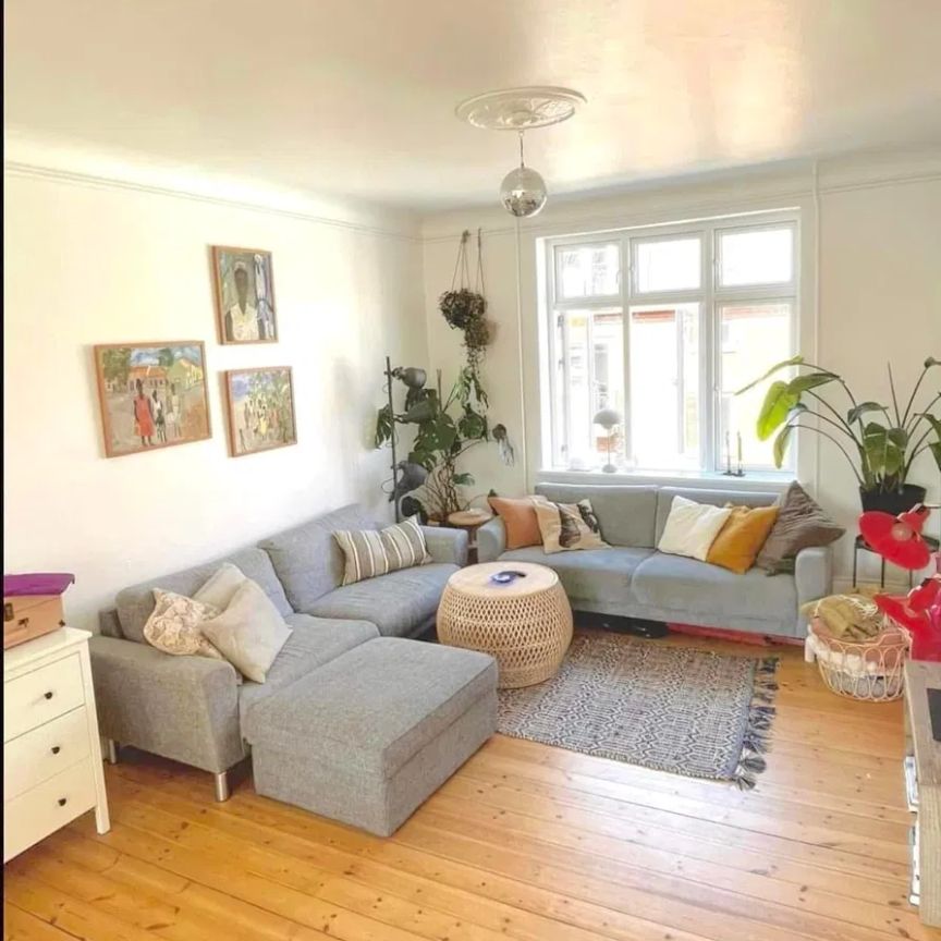 Rummelig lejlighed med hyggelig gård i Aalborgs hjerte - Photo 1