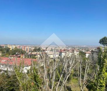 5 locali in affitto - Photo 1