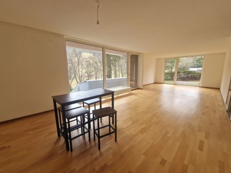 GARTENWOHNUNG + SAUNA + TERRASSE - GRÜNBLICK - 5 ZIMMER - Photo 4