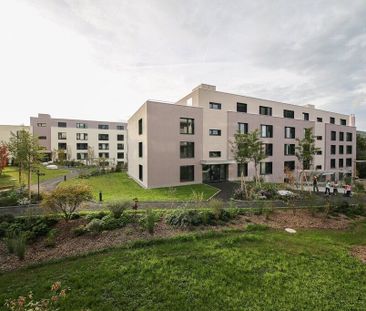 Grosszügige Wohnung sucht neue Familie - Foto 2